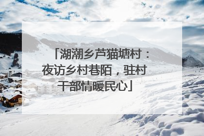 湖潮乡芦猫塘村：夜访乡村巷陌，驻村干部情暖民心
